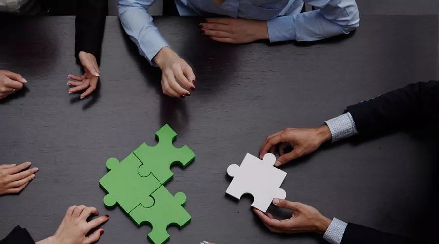 puzzle-business-2._resizejpg